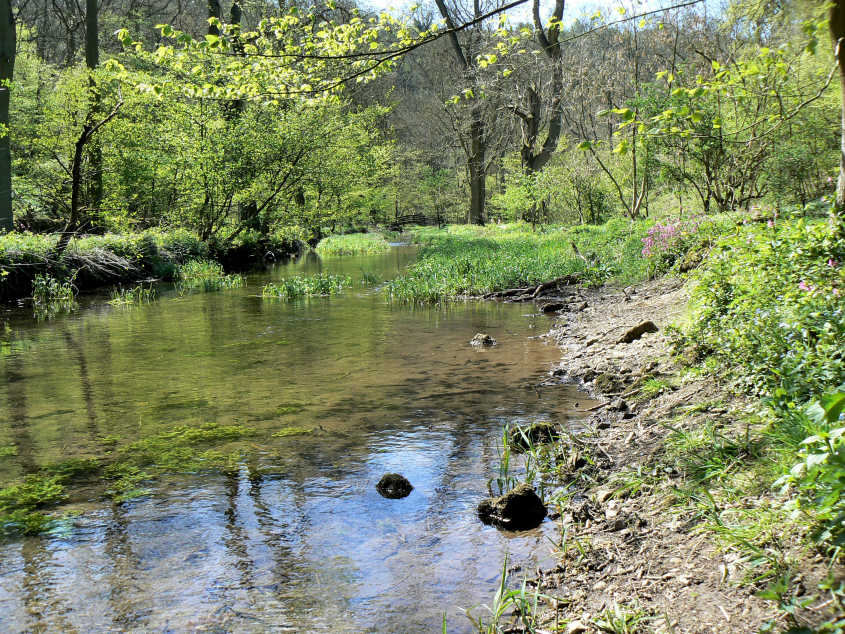 Lathkill Dale Lathkill Dale